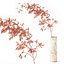 Bouquet de plantes 05