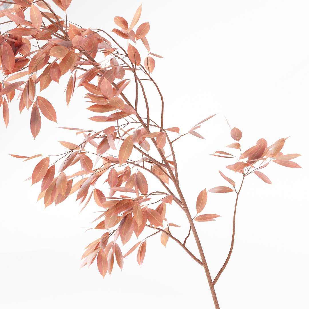 3D Plants Bouquet 05 https://p.turbosquid.com/ts-thumb/57/aTu1tx/pe/z03/jpg/1707203463/1920x1080/fit_q87/65df5dbd8feddc0c09e0118371423ba5244ada0d/z03.jpg
