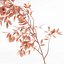 Bouquet de plantes 05