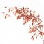 Bouquet de plantes 05