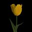 3ds max tulip flower plant