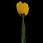 3ds max tulip flower plant