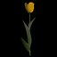 3ds max tulip flower plant