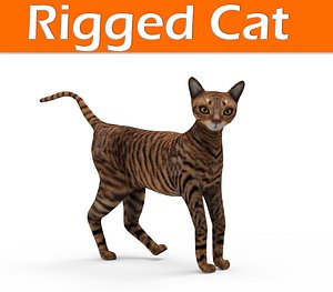 cat rigged 3D