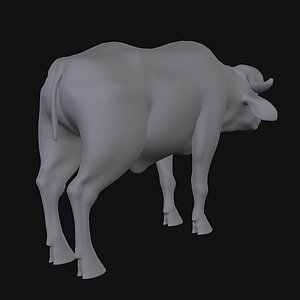 Buffalo