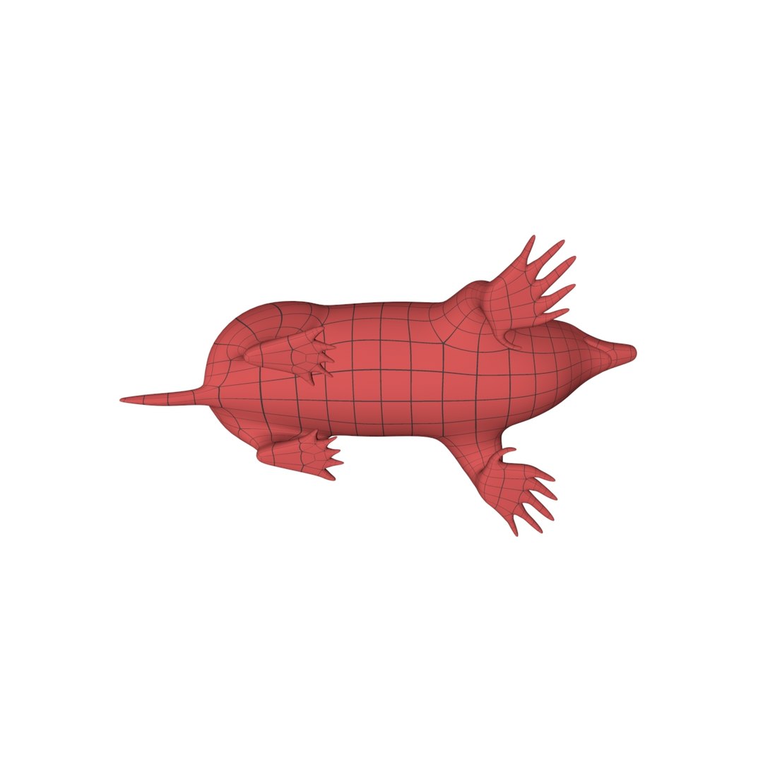 Base Mesh Mole 3d C4d