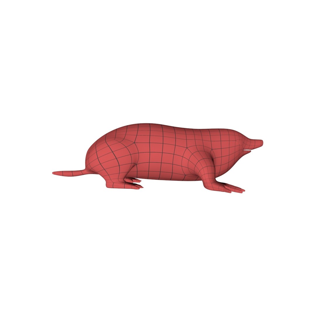 Base Mesh Mole 3d C4d