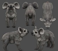 koala Low-poly