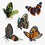 3D Butterflies Collection 5