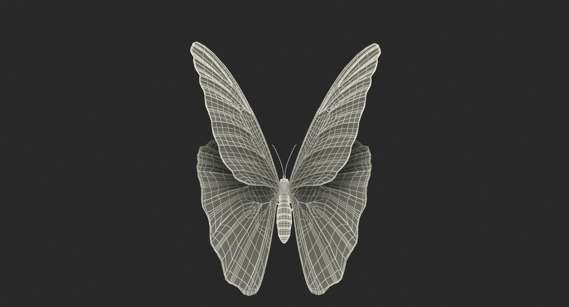 3D Butterflies Collection 5 https://p.turbosquid.com/ts-thumb/57/ykQsGq/FG/peleides_blue_morpho_butterfly_361/jpg/1638283313/1920x1080/turn_fit_q99/a27e1bb0d61b4dd099958f184d09053ae6da58e1/peleides_blue_morpho_butterfly_361-1.jpg