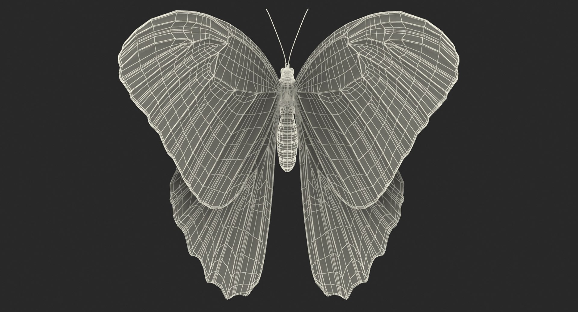 3D Butterflies Collection 5 https://p.turbosquid.com/ts-thumb/57/ykQsGq/JU/butterfliescollection4mb3dmodel041/jpg/1638283142/1920x1080/fit_q87/20c38ef555ff1a9df11037f0f5cb53cc64e81a70/butterfliescollection4mb3dmodel041.jpg