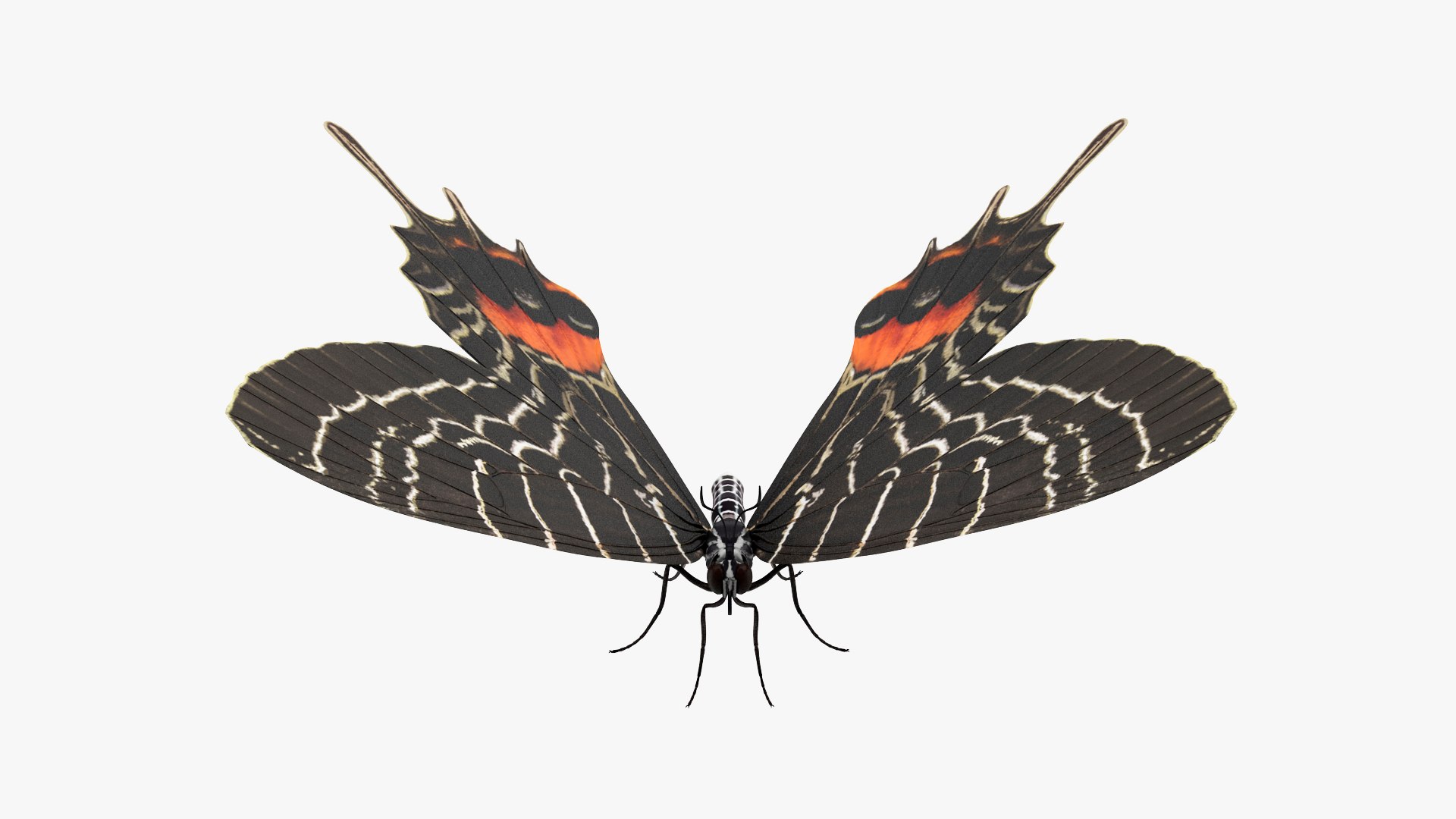 3D Butterflies Collection 5 https://p.turbosquid.com/ts-thumb/57/ykQsGq/LO/butterfliescollection4mb3dmodel026/jpg/1638283099/1920x1080/fit_q87/3dae6c762d3f871209351e8e4685f49c1ace3489/butterfliescollection4mb3dmodel026.jpg