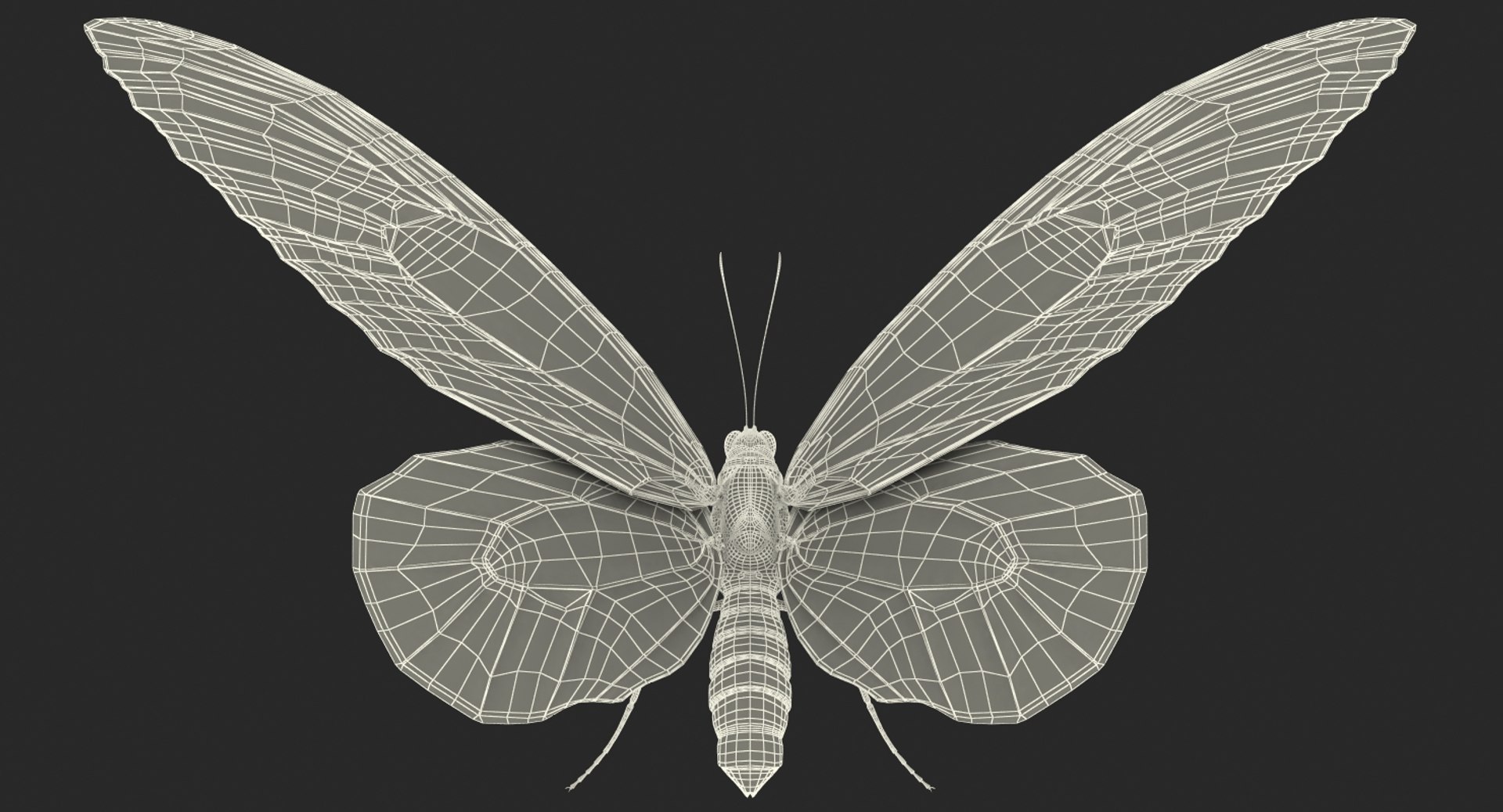 3D Butterflies Collection 5 https://p.turbosquid.com/ts-thumb/57/ykQsGq/Yz/butterfliescollection4mb3dmodel045/jpg/1638283154/1920x1080/fit_q87/9eb70080e02ee75ec62d8f96fea2fea5d5e73f97/butterfliescollection4mb3dmodel045.jpg