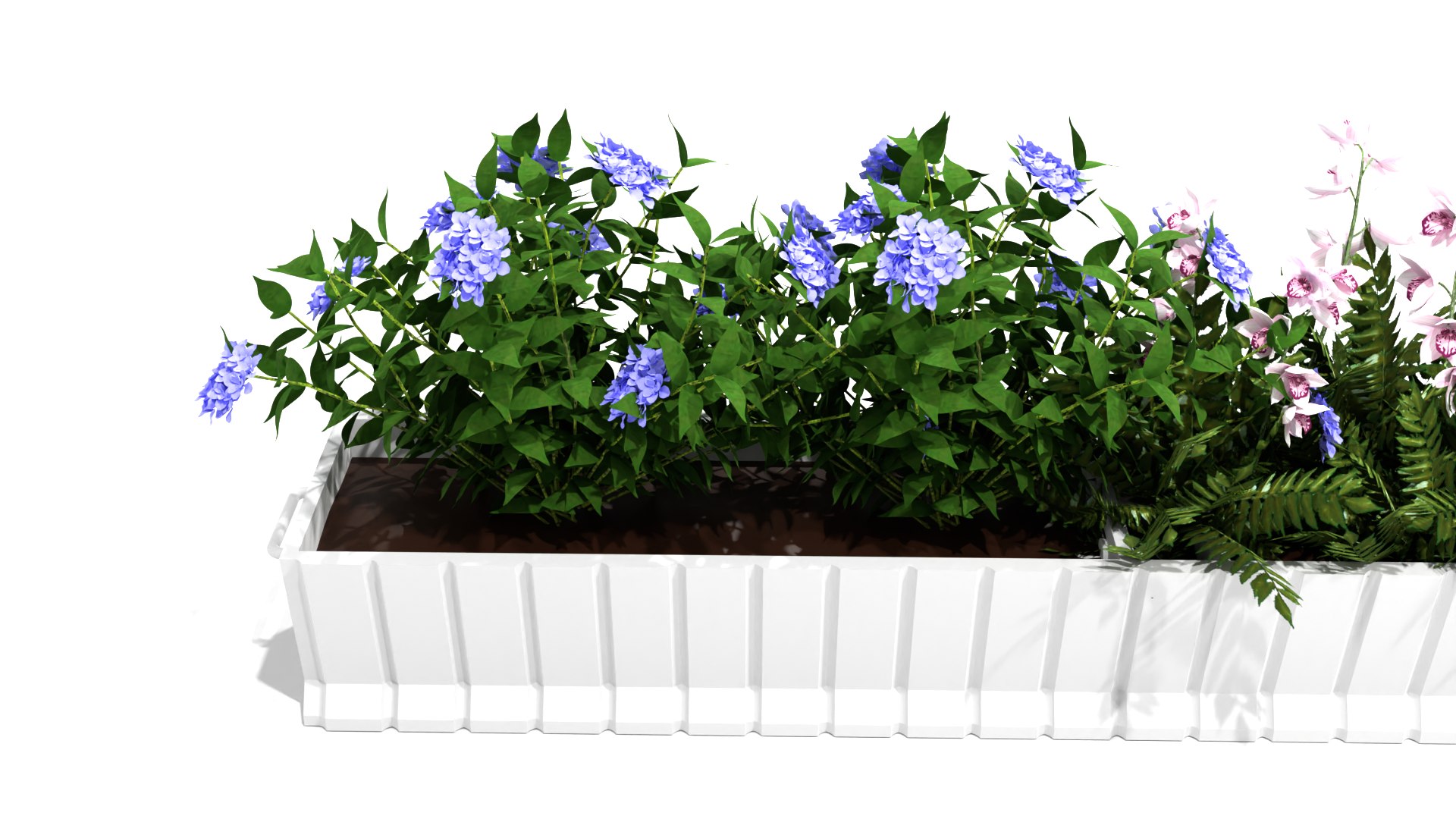 3D potted plant https://p.turbosquid.com/ts-thumb/58/FakpER/xK/pottedplant4/png/1665387958/1920x1080/fit_q87/cf67d45aee75d7ec89bef4a662f7636aac4aaf20/pottedplant4.jpg