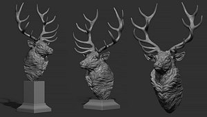 3D model Red deer bust