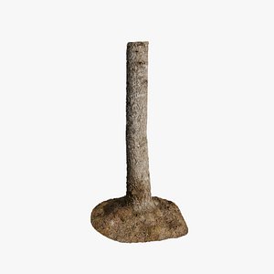 Anydrafts Abies fabri Trunk 14 model