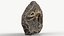 Fossile de squelette de poisson préhistorique 022 texturé