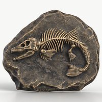 Prehistoric Fish Skeleton Fossil 022 Textured