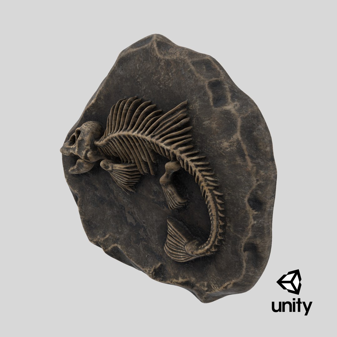 3D model Prehistoric Fish Skeleton Fossil 022 Textured https://p.turbosquid.com/ts-thumb/58/bNiIR3/mZ/stemcell_unity_render/png/1731068791/1920x1080/fit_q87/c92614789f10bf4f2fcb4dd6d463d0a3bbd552bb/stemcell_unity_render.jpg