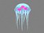 Jelly Fish