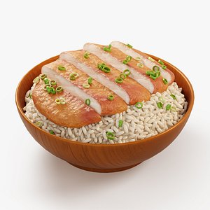 Katsudon Rice Bowl