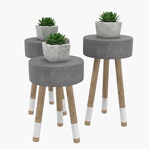 succulent flowers 3D model