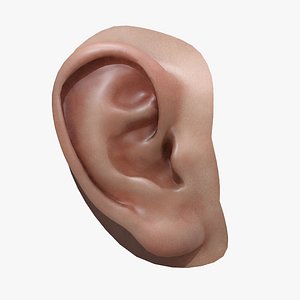 3ds max skin character head