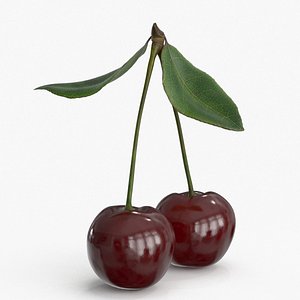 cherry fruit food 3D model
