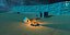 Low Poly 3D Environment