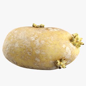 c4d potato