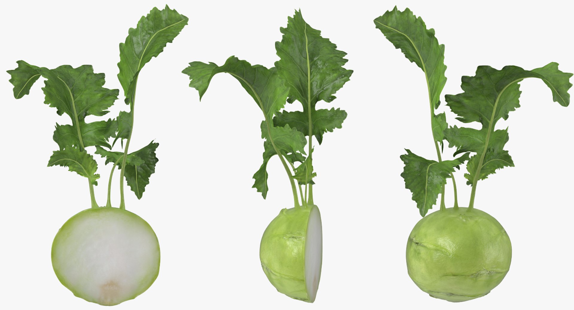 3D model Cut Vegetables Collection 3 https://p.turbosquid.com/ts-thumb/59/DHstEb/bZ/cutvegetablescollection3mb3dmodel041/jpg/1672309625/1920x1080/fit_q87/a2cf62a7ac4e65c01e330990f243e7bdd272d896/cutvegetablescollection3mb3dmodel041.jpg