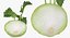 Cut Vegetables Collection 3