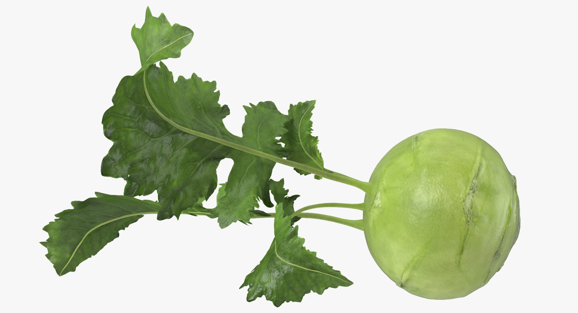 3D model Cut Vegetables Collection 3 https://p.turbosquid.com/ts-thumb/59/DHstEb/fa/cutvegetablescollection3mb3dmodel043/jpg/1672309631/1920x1080/fit_q87/f63b1e365bc9497e471e4440388a8003b918d963/cutvegetablescollection3mb3dmodel043.jpg