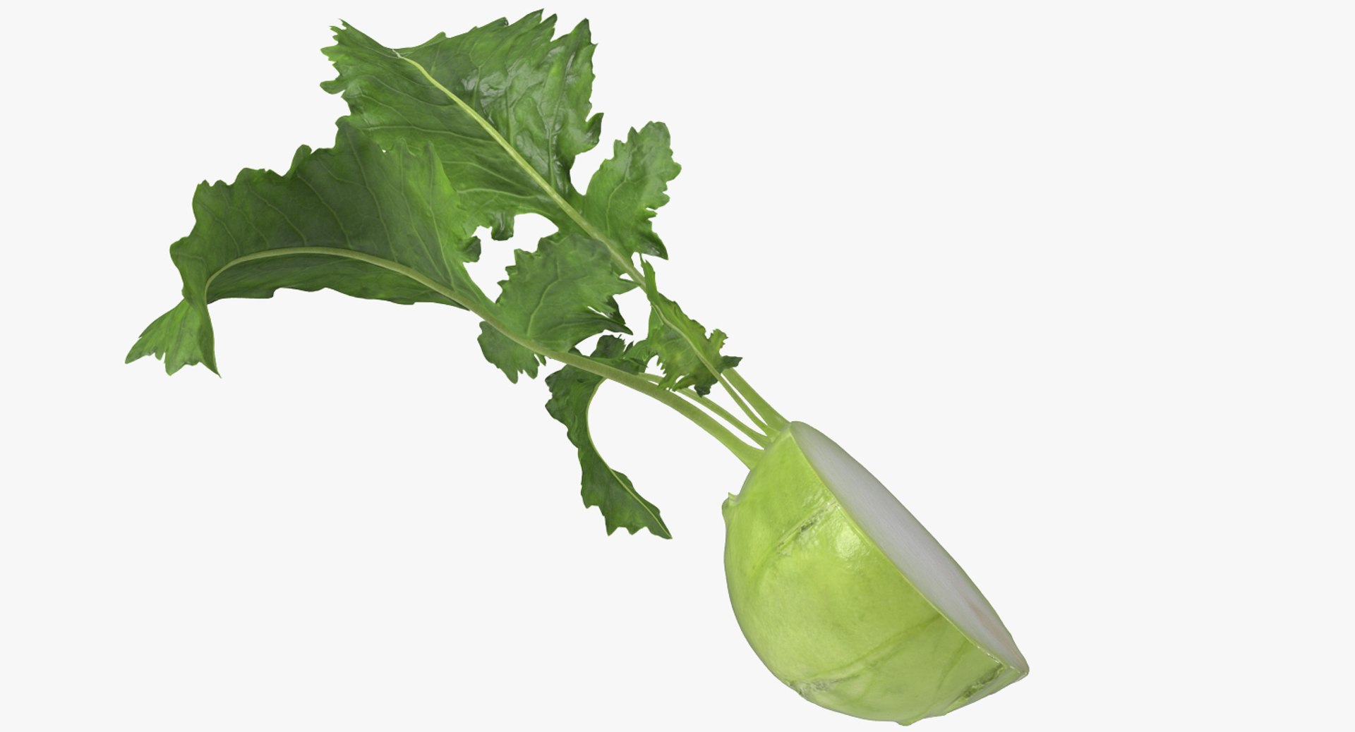 3D model Cut Vegetables Collection 3 https://p.turbosquid.com/ts-thumb/59/DHstEb/tV/cutvegetablescollection3mb3dmodel042/jpg/1672309628/1920x1080/fit_q87/e6a949cddb1f5f5532dad1a09c394b35162bf5fa/cutvegetablescollection3mb3dmodel042.jpg
