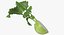 Cut Vegetables Collection 3