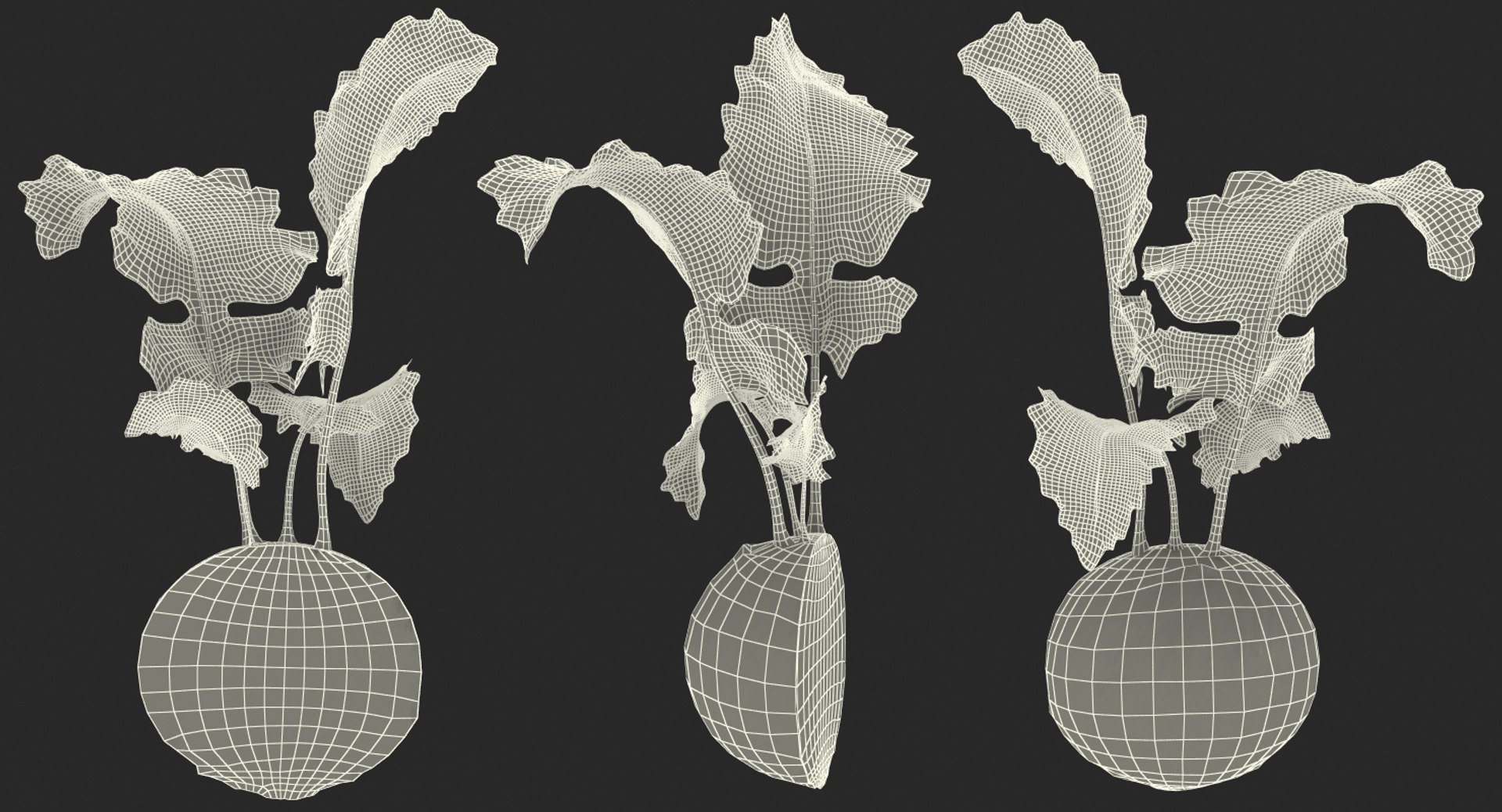 3D model Cut Vegetables Collection 3 https://p.turbosquid.com/ts-thumb/59/DHstEb/x7/cutvegetablescollection3mb3dmodel069/jpg/1672309714/1920x1080/fit_q87/7c14cfe7f7156eab934b08b153676959f6e6f4fb/cutvegetablescollection3mb3dmodel069.jpg