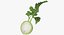 Cut Vegetables Collection 3