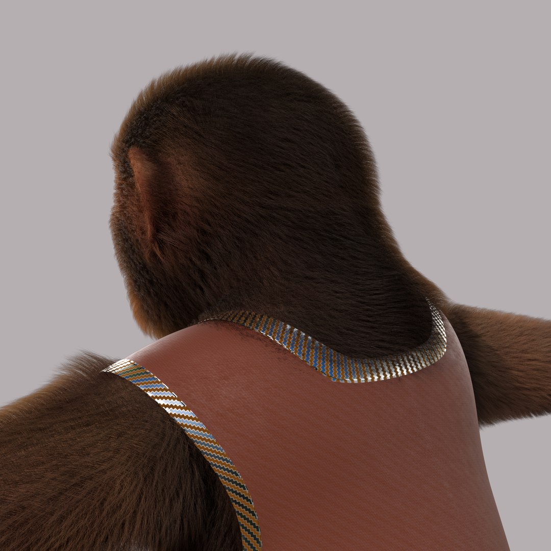 Cartoon Monkey Rigged 3D model https://p.turbosquid.com/ts-thumb/59/MPInQl/8v/c6/png/1672322192/1920x1080/fit_q87/59b49a6c67972d9ce3d295d66a4c643764c117b2/c6.jpg