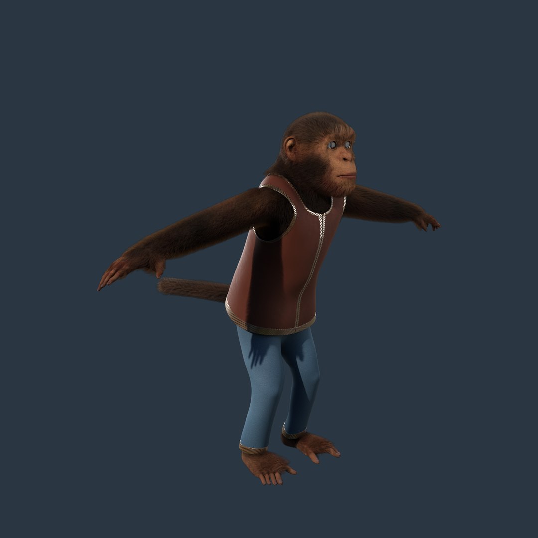 Cartoon Monkey Rigged 3D model https://p.turbosquid.com/ts-thumb/59/MPInQl/D2/p2/png/1672321969/1920x1080/fit_q87/48c942c963a9dcb527fba42d4d37bcee031754ee/p2.jpg