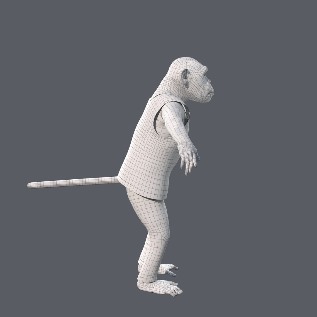 Cartoon Monkey Rigged 3D model https://p.turbosquid.com/ts-thumb/59/MPInQl/Tq/w3/png/1672322390/1920x1080/fit_q87/b52698c78cd8c07e1a0151b79a485794d059cbef/w3.jpg