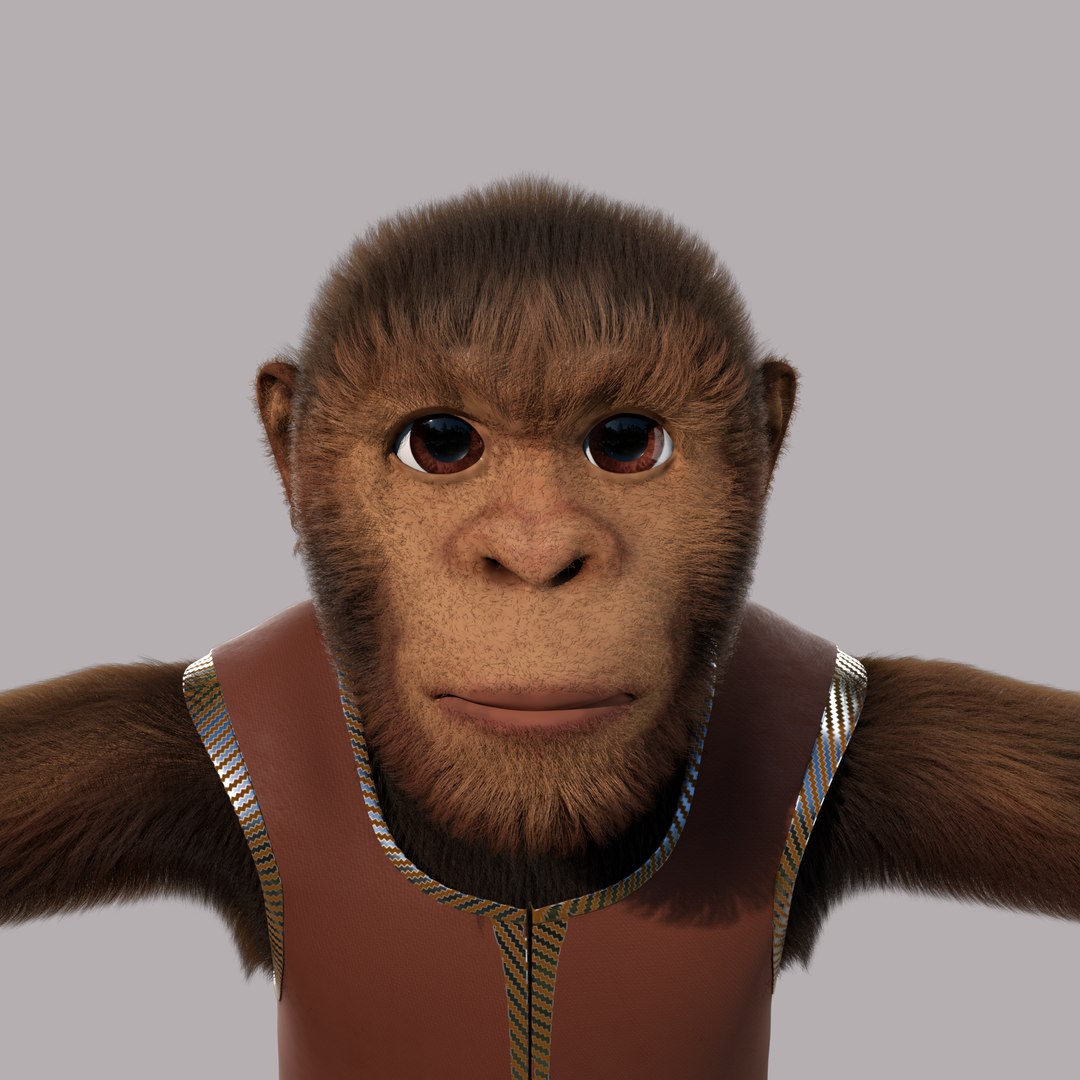Cartoon Monkey Rigged 3D model https://p.turbosquid.com/ts-thumb/59/MPInQl/X0/c1/png/1672322122/1920x1080/fit_q87/1a810dd21dacb6a03e99aefc1552b40e4b90e094/c1.jpg