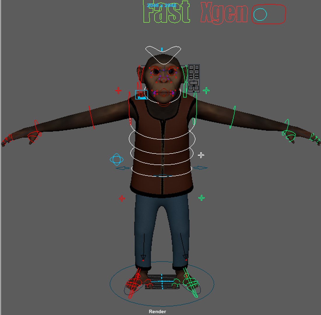 Cartoon Monkey Rigged 3D Model - TurboSquid 2006901