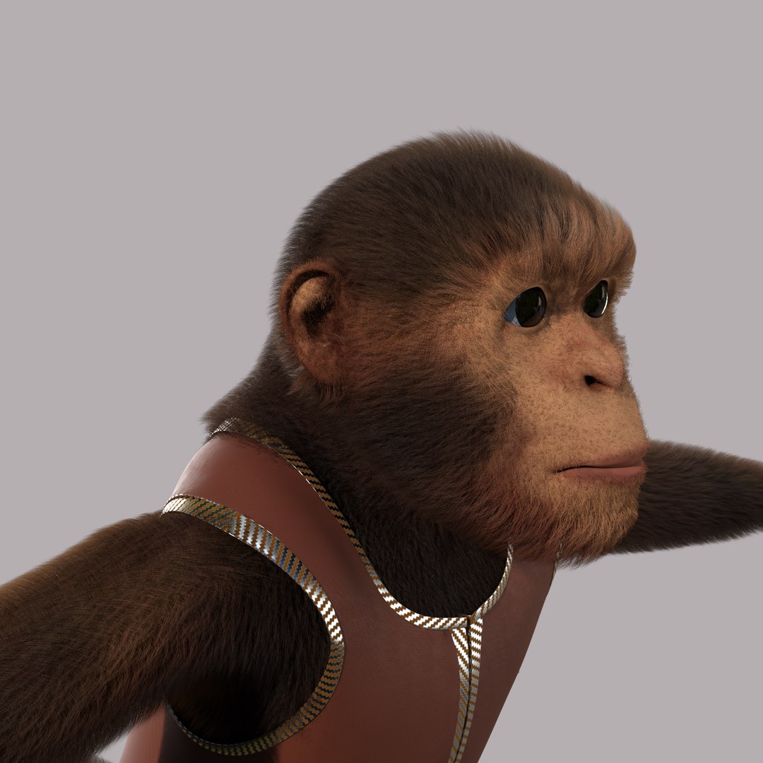 Cartoon Monkey Rigged 3D model https://p.turbosquid.com/ts-thumb/59/MPInQl/jH/c2/png/1672322105/1920x1080/fit_q87/feb43bb9cb5a6b7e386e3955de53faaf39351ff4/c2.jpg