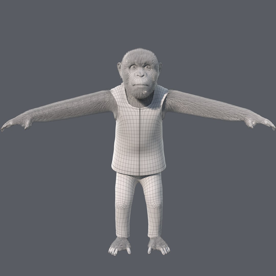 Cartoon Monkey Rigged 3D model https://p.turbosquid.com/ts-thumb/59/MPInQl/jX/w9/png/1672322424/1920x1080/fit_q87/8be776832ef3efab0faa5ff875d47e7411261e09/w9.jpg