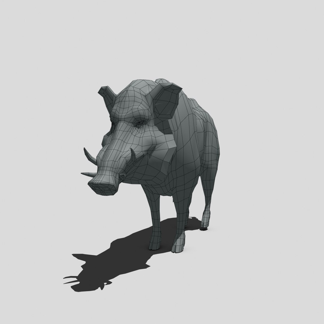 wild boar 3d model https://p.turbosquid.com/ts-thumb/59/MzdETn/c9cQapzt/wireframe4/jpg/1361648715/1920x1080/fit_q87/be475a9e7ae69546b50b2efb667585a97dd5f69c/wireframe4.jpg