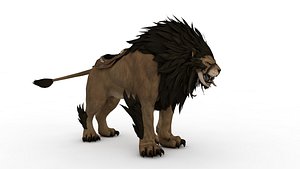Loin
