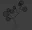tree 3D model