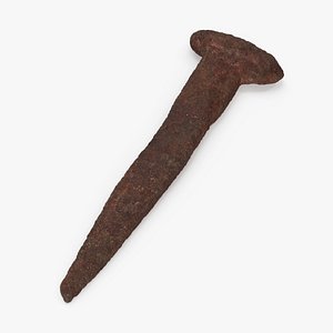Antique Rusty Nail