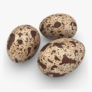 3d model realistic quail eggs