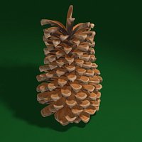 pine cone